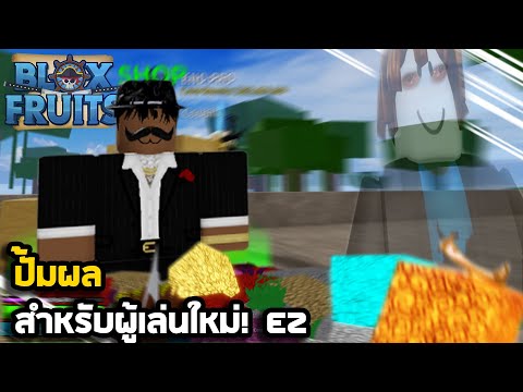 Roblox : Blox Fruits สอนปั้มผลแบบEz!