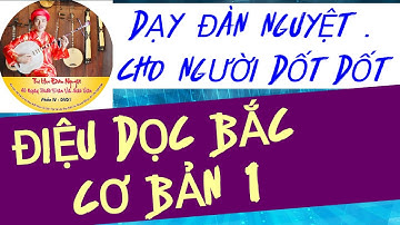 DẠY ĐÀN NGUYỆT ĐIỆU DỌC GIÁ QUAN LỚN CHO NGƯỜI DỐT CỰC DỐT