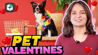 Make a Pet Valentine's Day Video (Ideas, Tutorial) | Filmora Effects