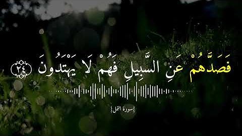 حالات واتس اب دينية سورة النمل