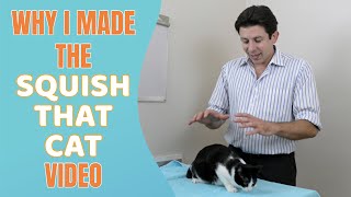 Why I made the 'Squish That Cat' video by Helpful Vancouver Vet 116,964 views 1 year ago 3 minutes, 30 seconds