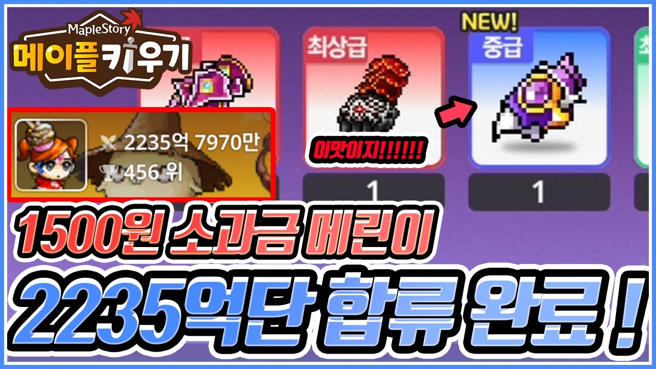 [메이플 키우기] 🍄 117일차 메린이 2235억 돌파!!! 나에게왔다..