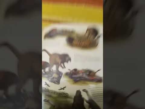 ОБЗОР НА КНИГУ ПОСЛЕ ЧЕЛОВЕКА ЗООЛОГИЯ БУДУЩЕГО трейлер 3