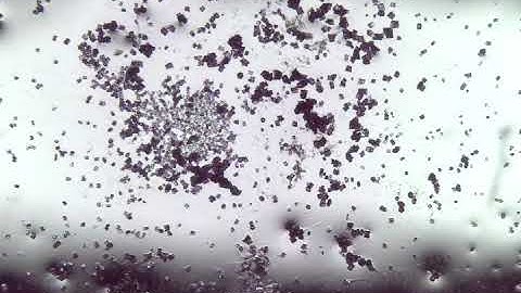 Solvent-triggered single-crystal-to-single-crystal transformation