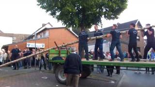 Der Jgv Fischenich Setzt Den Dorfmaibaum 2014