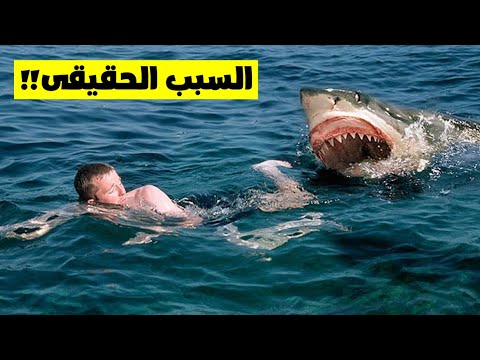 فيديو: هل أكلوا هيوكو سايونجي؟