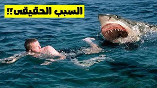 كشف السبب الحقيقى لقتل قرش الغردقة للسائح الروسى  shark attack hurghada
