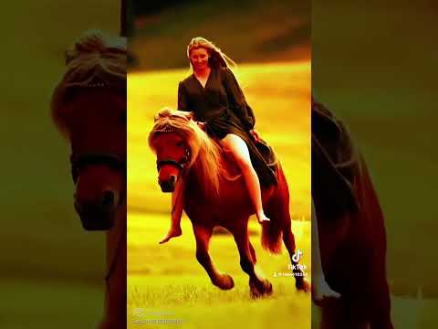 والمهرة بتعرف خيالا بيا خيالا يالا سكابا الاخرس