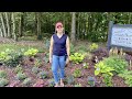 Entrance Bed Garden Tour | Gardening with Creekside
