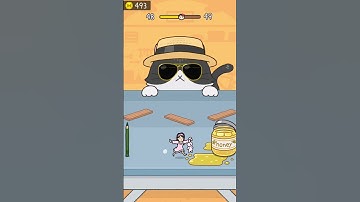 Hide and Seek: Cat Escape! Level 48 Gameplay Walkthrough #shorts