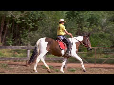 LOTE 12 ANITA