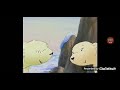 WB Christmas DVDs Commercial 2005 