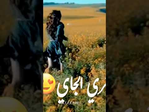 اغنية الشامي وتامر حسني ملكه جمال الكون تصميم شاشه سوداء حالات واتس ترند التيك التوك اغاني اكسبلور 