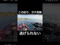 この島はマジでサメが多い　#shorts #shark