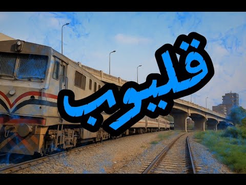 جوله فى مدينة قليوب