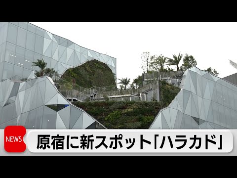 老舗銭湯やグミッツェルも　原宿に新スポット「ハラカド」（2024年4月9日）