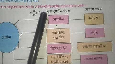 পরিবেশ ও বিজ্ঞান সপ্তম শ্রেণী Chapter 5/primary tet evs/primary tet preparation/tet evs class/evs C7