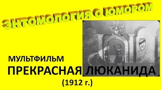 Мультфильм &quot;Прекрасная Люканида, или борьба рогачей с усачами&quot; (1912 г.)