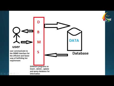 فيديو: ما هو برنامج dbms؟