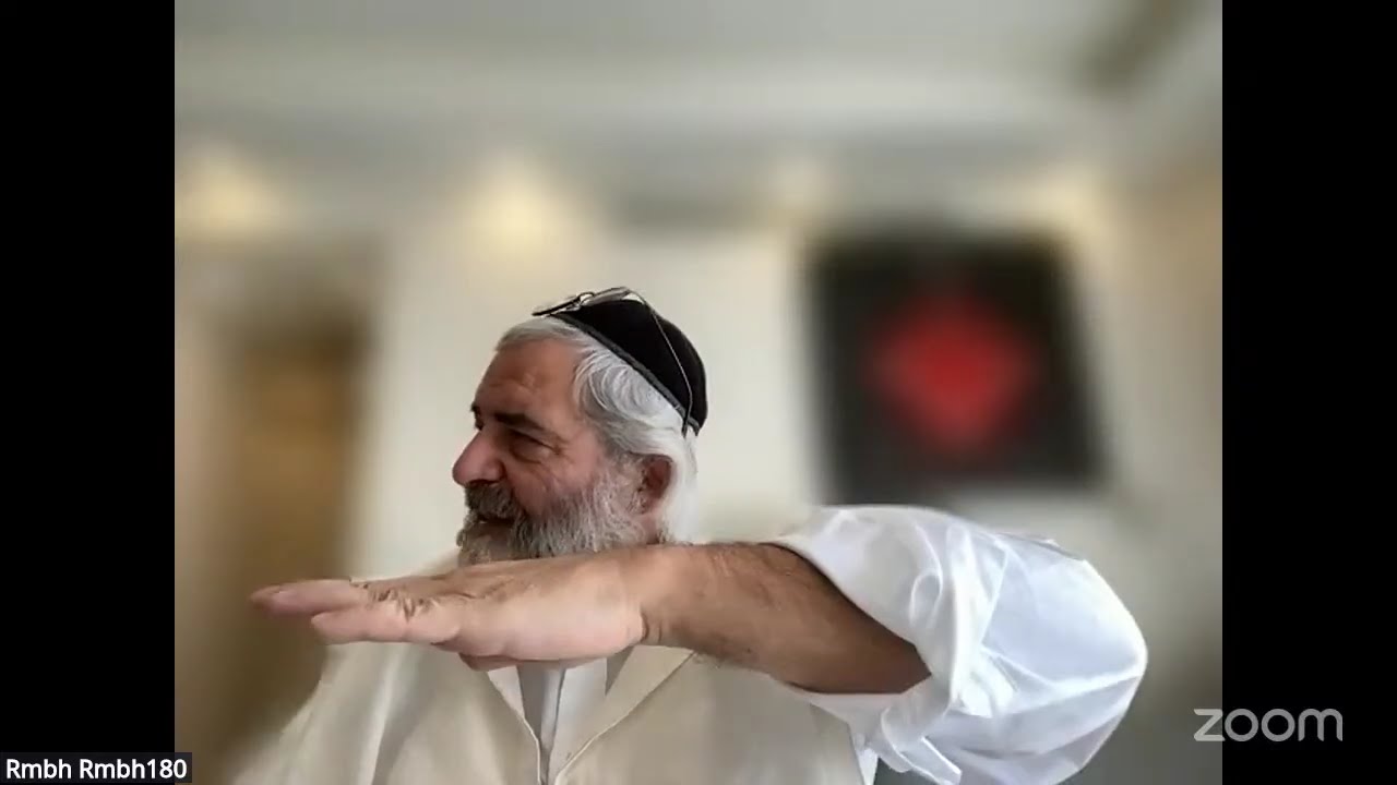 Daf HaYomi - Zevahim 73