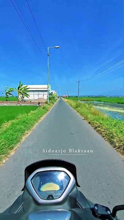 Orang Sidoarjo Mana yang Belum Pernah Lewat Sini...Gasken ngopi di sawah ini #viralvideo