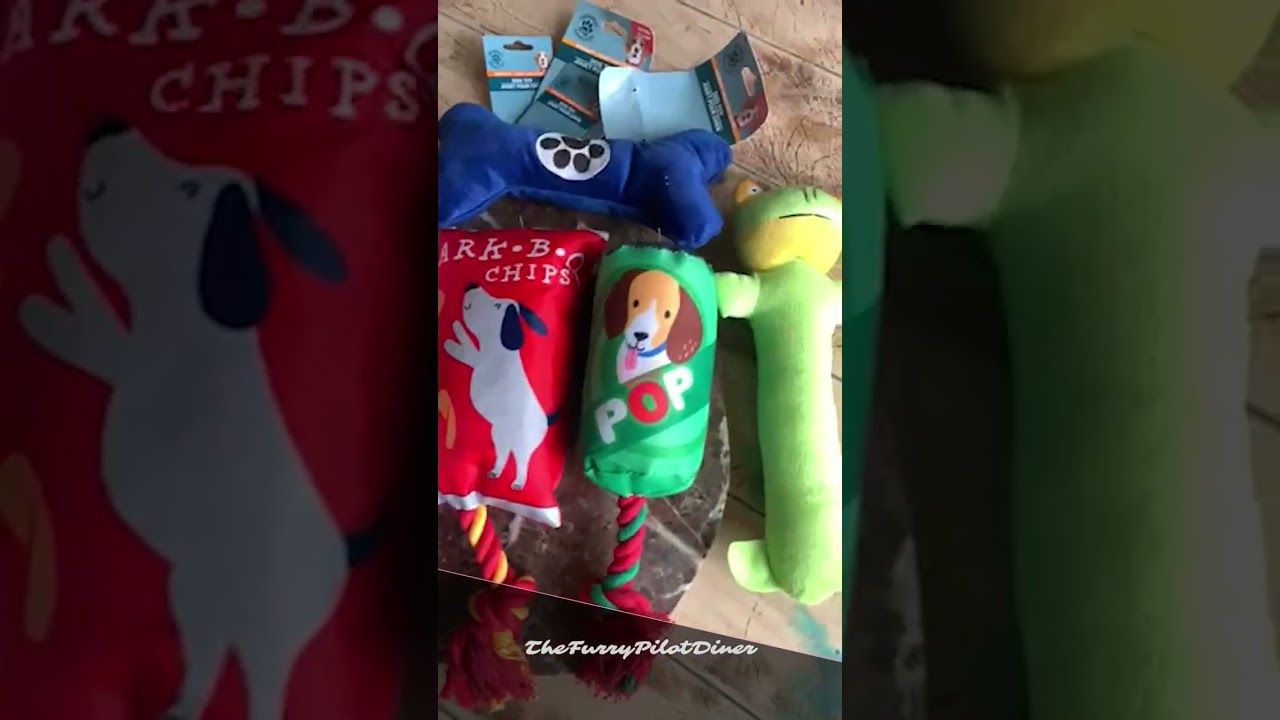 Pit Bulls, Are Dollar Store Dog Toys Safe for them? Toxic issue or bad stuffing? Pit Bull Tested!