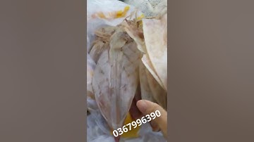 Mực khô Phan Thiết - Hải Sản Mỹ Tâm Phan Thiết 0367996390