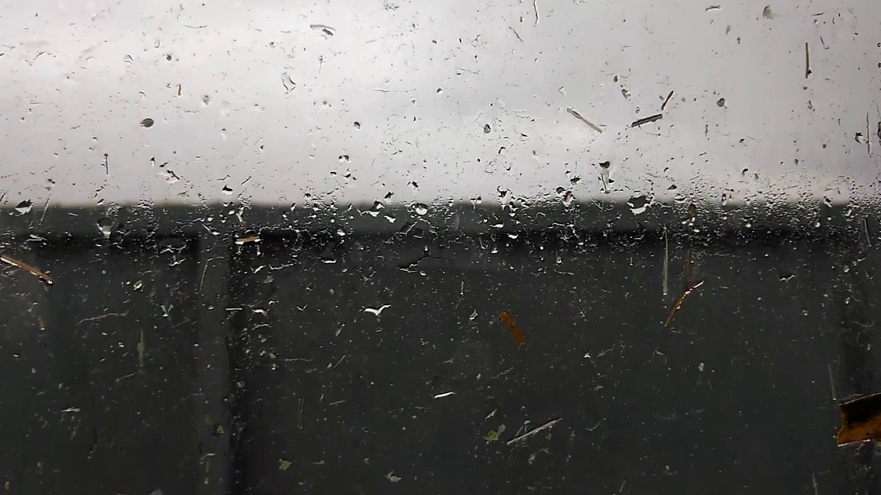 Fortschritt E-281 Kukorica --2--