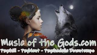 Psychill Artists - Psybient Music Mix - Psychedelic Downtempo