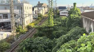 1094レ鹿島貨物EF210桃太郎162号機新金貨物線高砂小橋付近通過