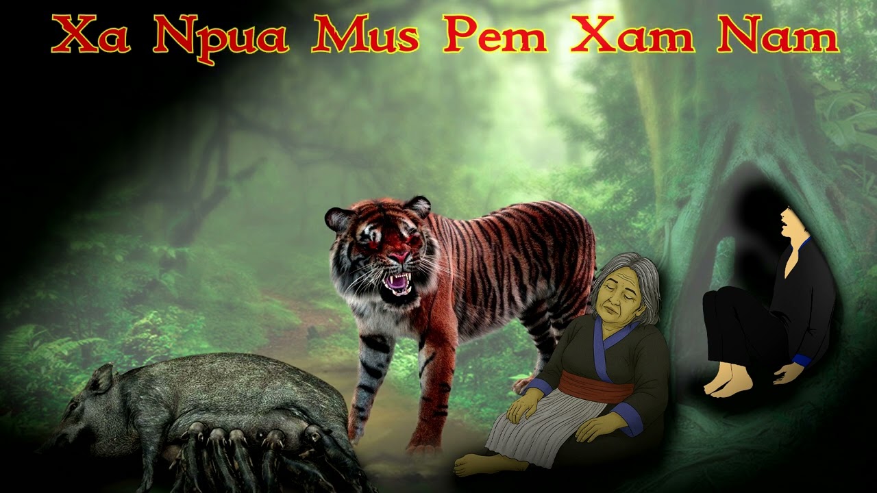 Sab Sij Huam Xa Npua Mus Pem Teb Xam Nam /29/8/2025/