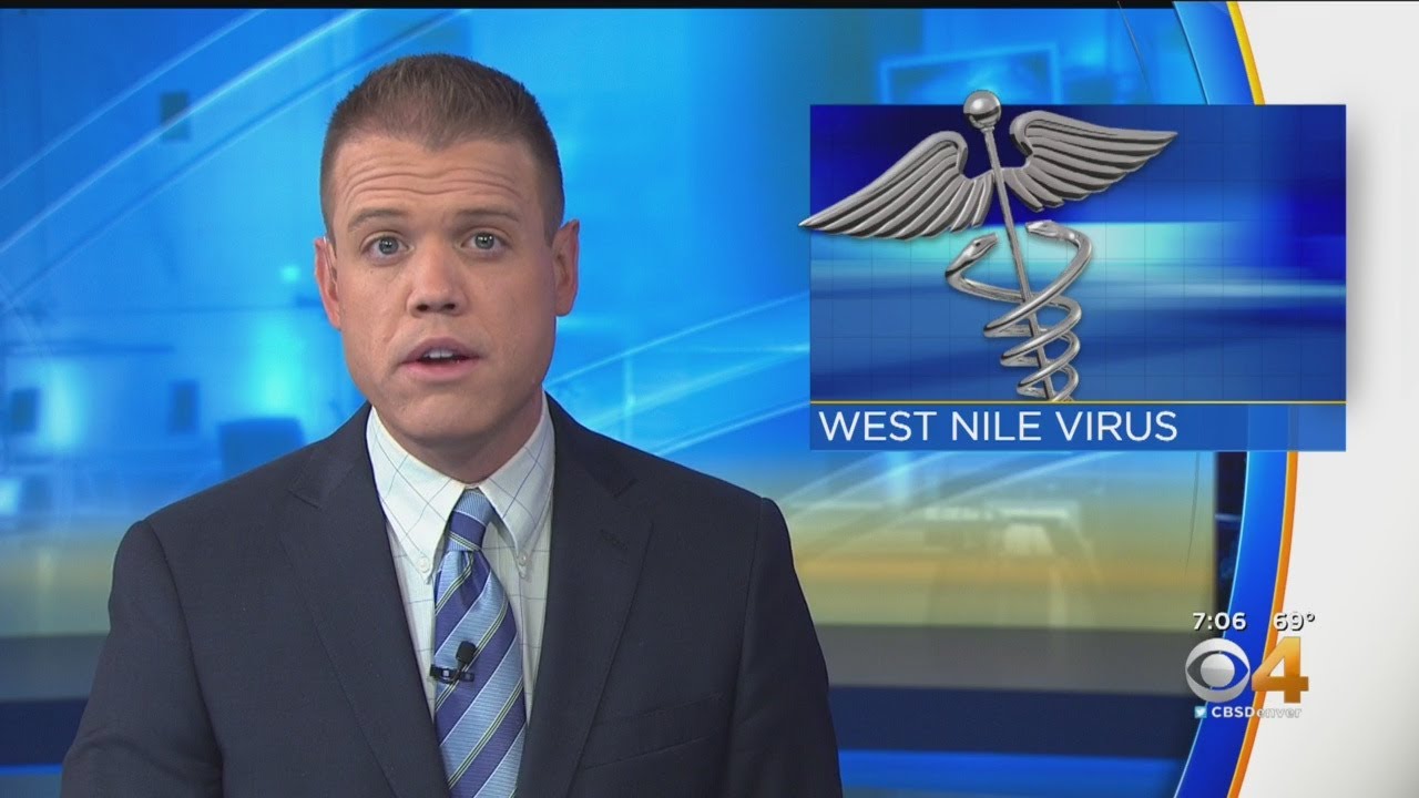 newspaper mockup Mosquitoes Test Positive For West Nile Virus In Weld County