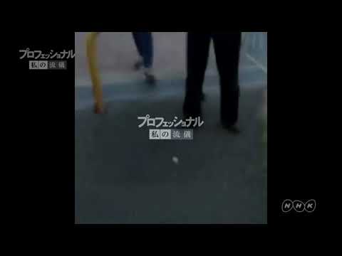 プロフェッショナル 拳で抵抗
