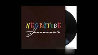 Watch Negritude Junior Amor No Elevador video