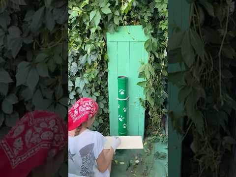 #diy