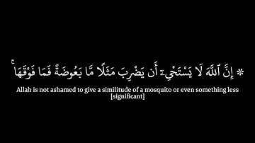كروما قرآن ~إن الله لا يستحيي أن يضرب مثلا ما بعوضة فما فوقها.. |بصوت الشيخ القارئ سعود الشريم