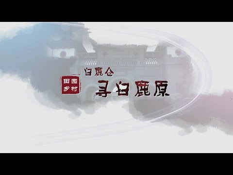 田園鄉村—白鹿倉尋白鹿原：了解白鹿倉的深厚曆史和各類文化