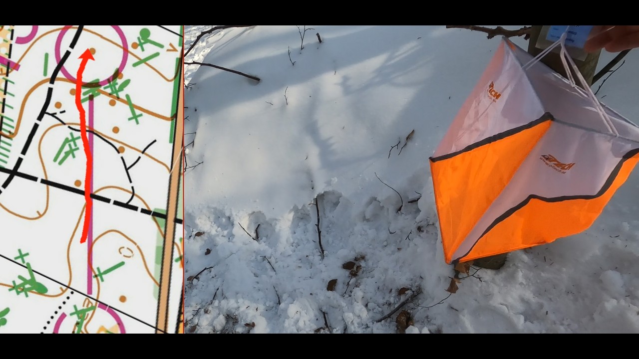 Orienteering in the snow: Jægersborg Hegn, Denmark