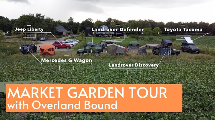 Operation market garden tours from amsterdam