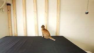 賃貸の部屋に設置したキャットウォーク、棚を解体し原状回復させる｜戸惑う猫【引っ越し準備】