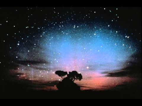 Andrew Bird - Night Sky