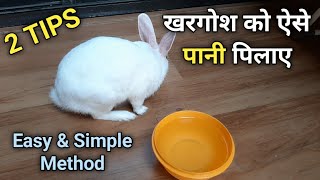 खरगोश को पानी कैसे पिलायें जाने 2 तरीके|| How to make rabbit drink water|| खरगोश क्या पानी नहीं पिता