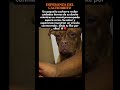 🐶❤️ Esperanza del Cachorrito #PuppyLove #DogMom #Heartwarming #PetLove #AnimalLovers #DogRescue
