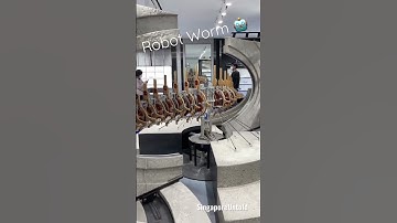 Robot Worm 🐛 | Crazy Display by Gentle Monster #shorts