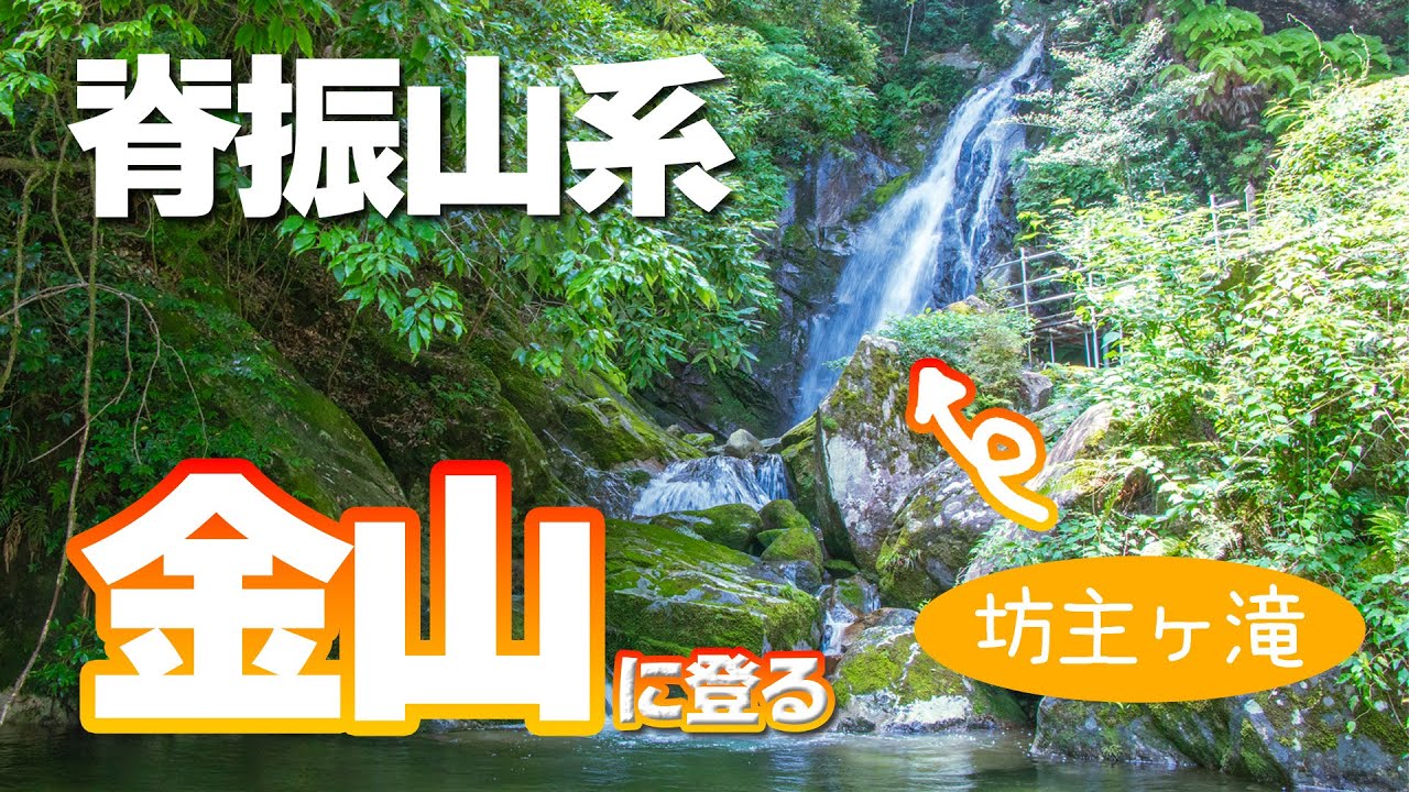 【九州百名山】坊主ヶ滝登山口から金山山頂を目指すと気持ちの良い山歩きになりました