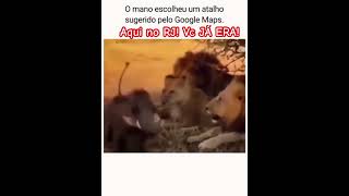 Perigoso #casosreais #noticias #investigacaocriminal
