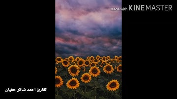 تلاوة خاشعة  😌❤️