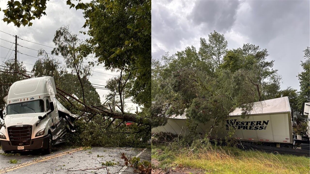 Storm knocks trees on power lines, other damage - YouTube