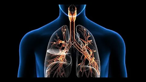¿Cuáles son 2 signos de un problema respiratorio en una persona?