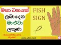 ධනය පෙන්වන මත්ස්‍ය සලකුණ - හස්ත රේඛා රහස් |Fish symbol in palmistry